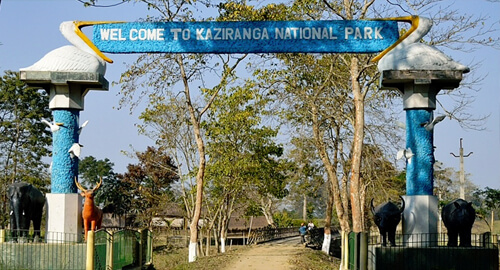 Kaziranga National Park