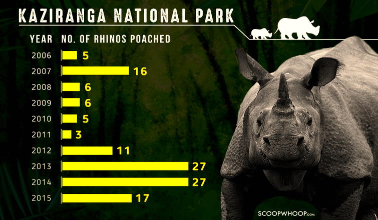 Rhino Poaching Deaths in Kaziranga National Park