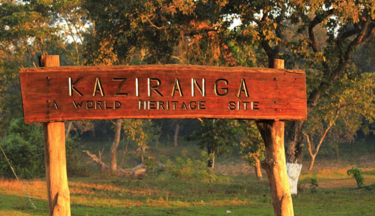 Kaziranga Park Assam