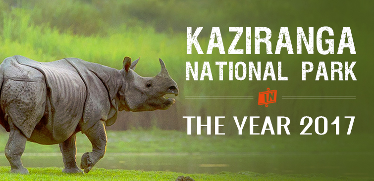 The Year of 2017 for Kaziranga National Park