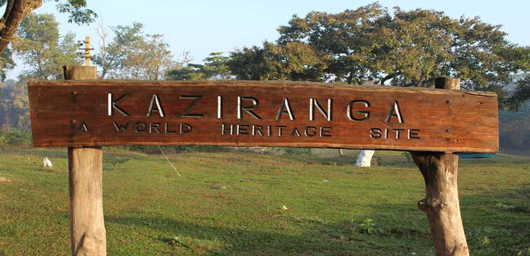 Kaziranga World Heritage Site