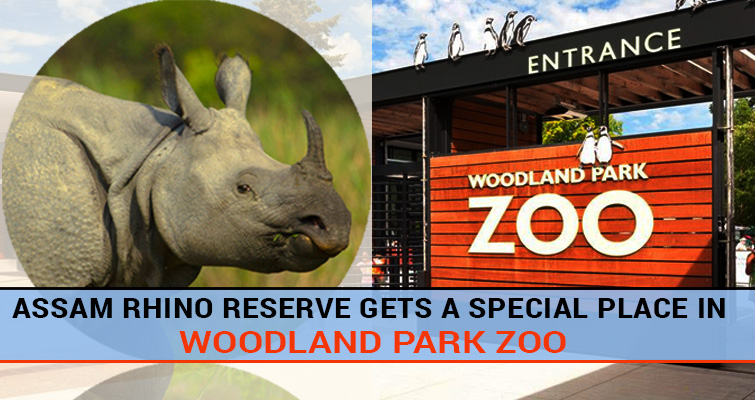 Woodland Park Zoo all Set for One Horned Rhino