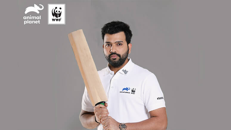 Rohit Sharma- Cricketer of Indian Team