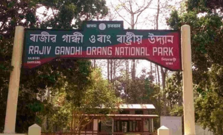 Orang National Park Assam