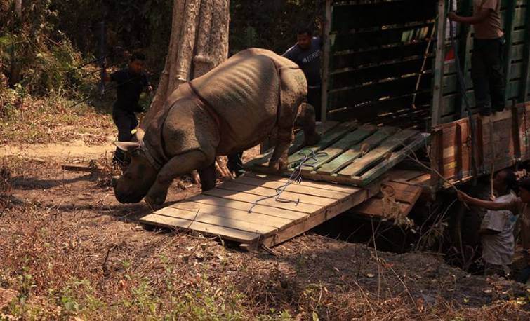 Kaziranga Wildlife Rehab Centre