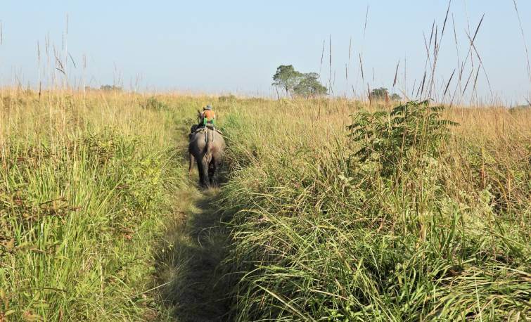 Orang National Park Assam