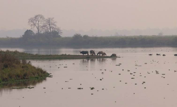 Prime Minister Narendra Modi Kaziranga Visit Photo Gallery