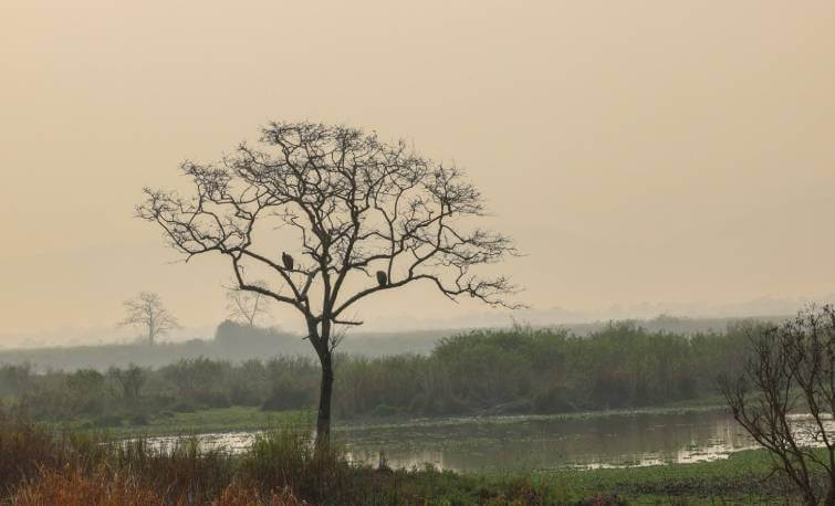 Prime Minister Narendra Modi Kaziranga Visit Photo Gallery