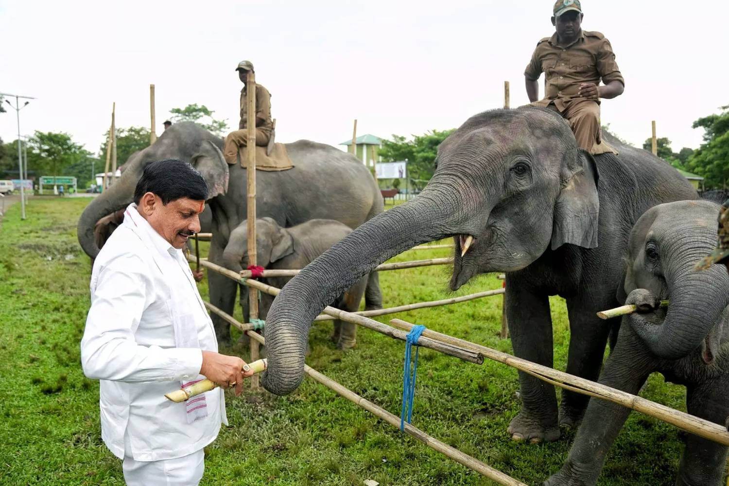 Madhya Pradesh CM Visits Kaziranga National Park