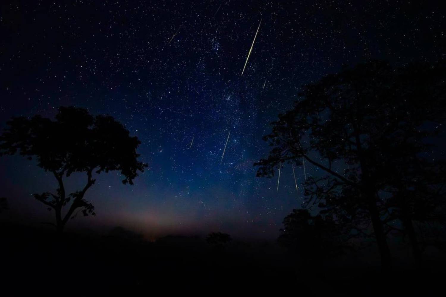 Astro Tourism in Kaziranga