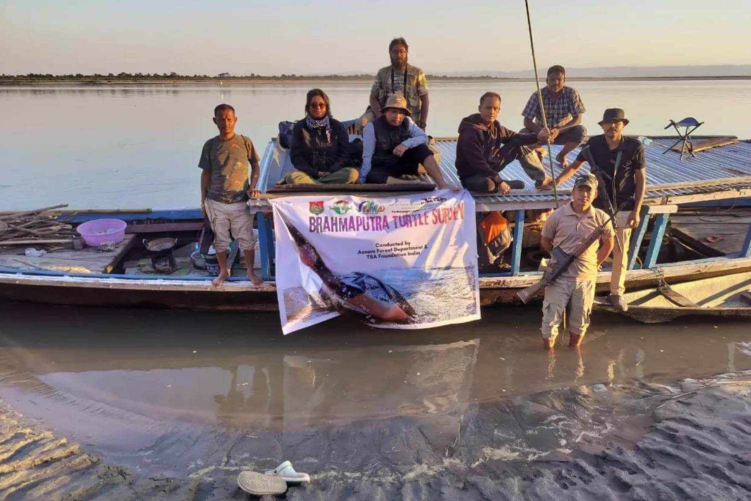 Freshwater Turtle Population Thrives in Kaziranga