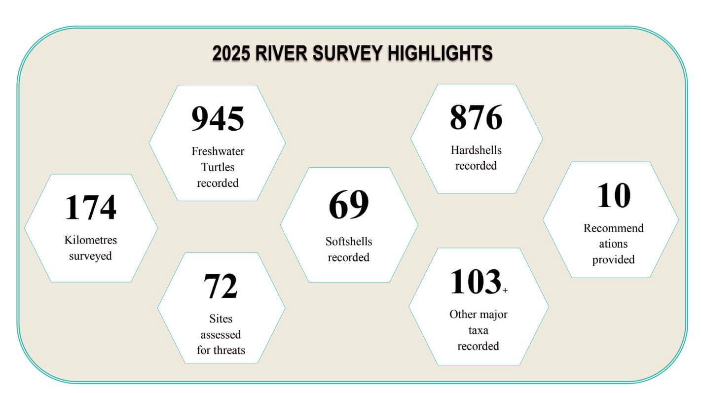 Highlights of Freshwater Turtle Survey in Kaziranga