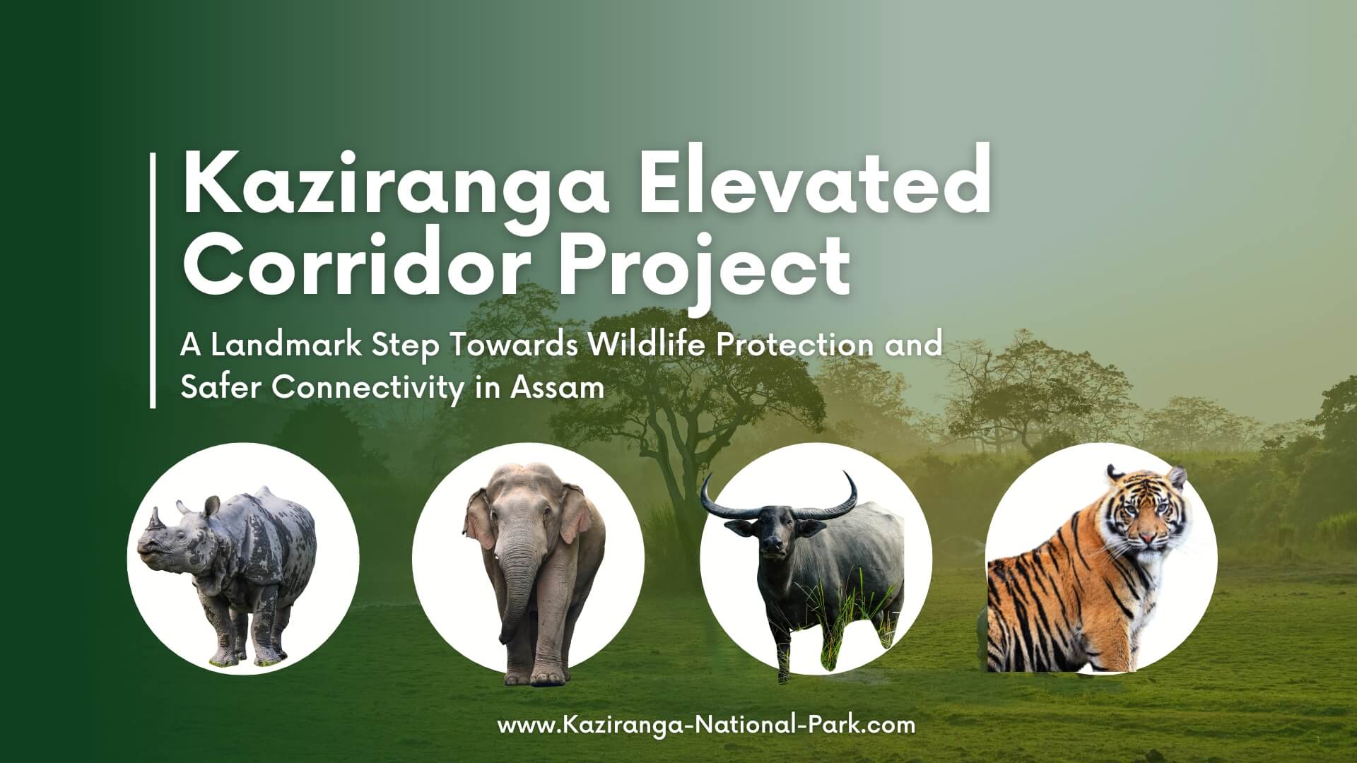 Kaziranga Elevated Corridor Project