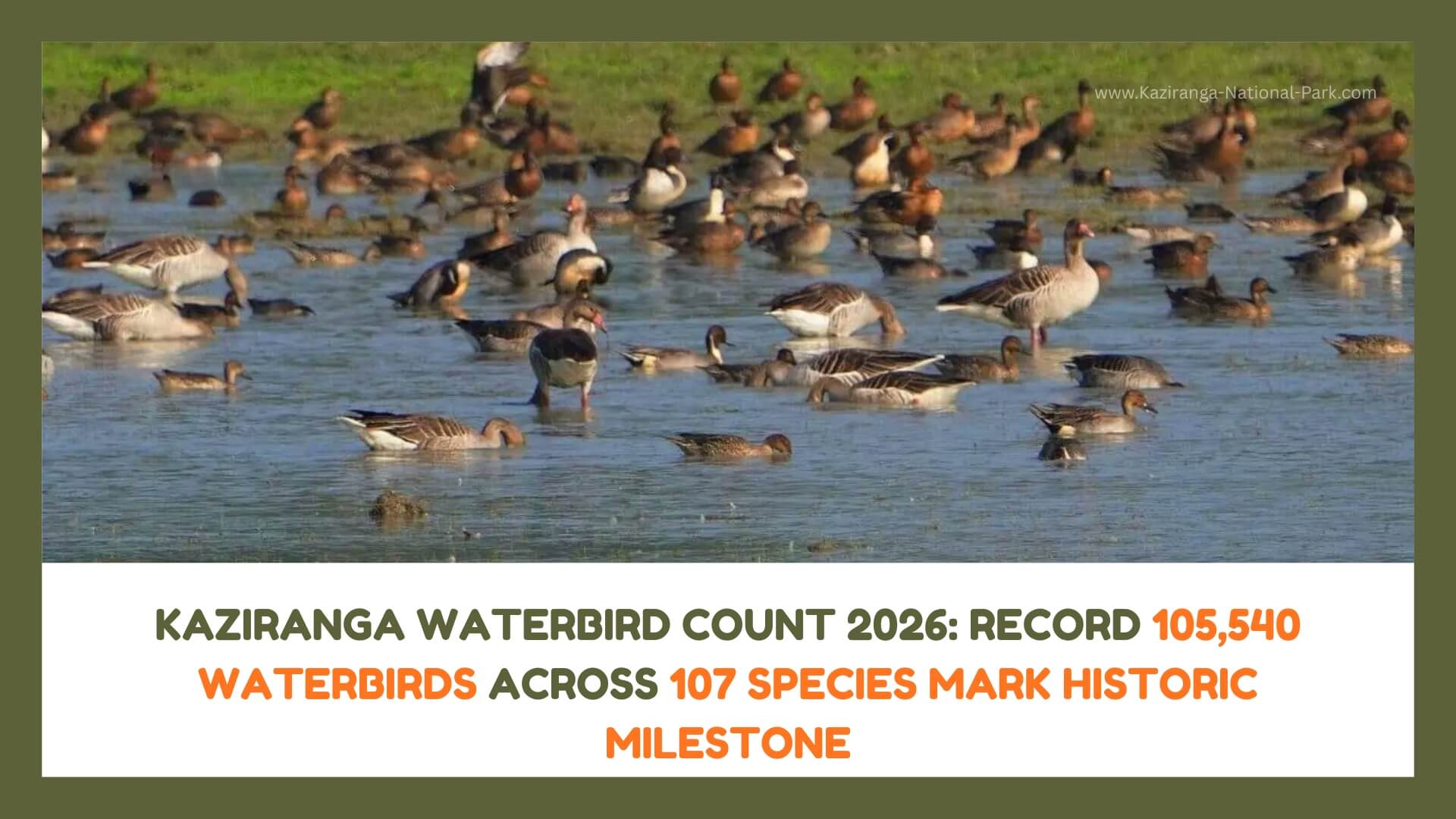 Kaziranga 7th Waterbird Count: 105,540 Birds of 107 Species Recorded