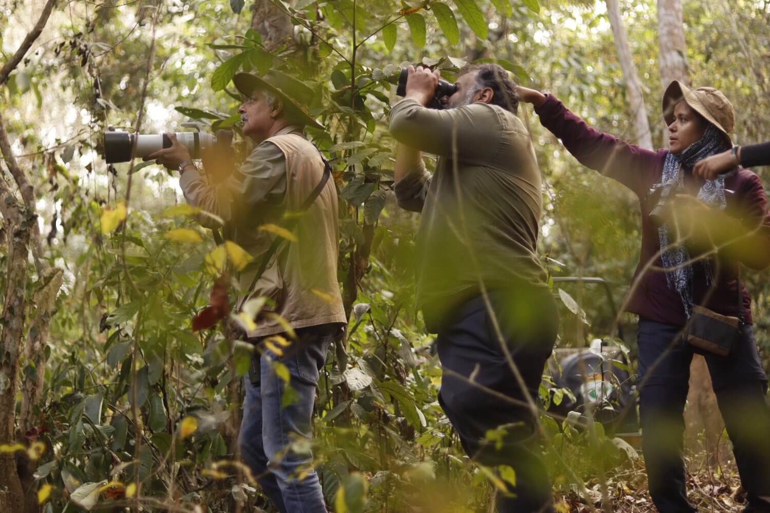 Panbari Reserve Forest Reopens in Kaziranga Assam