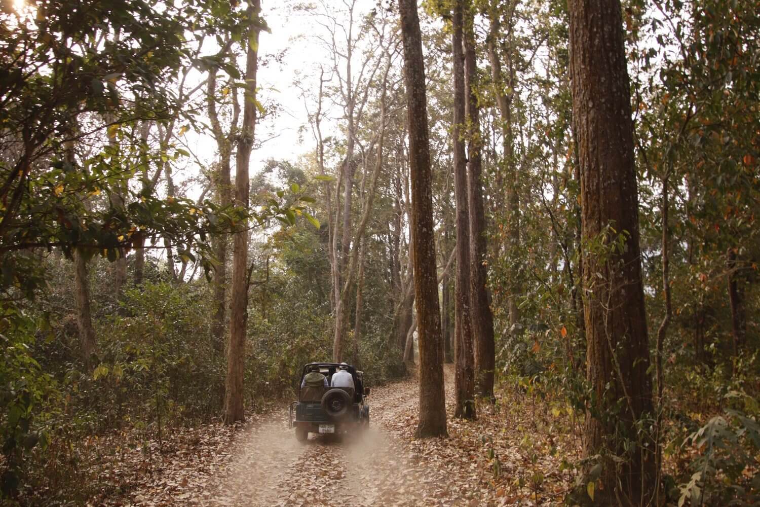 Panbari Reserve Forest Reopens in Kaziranga Park