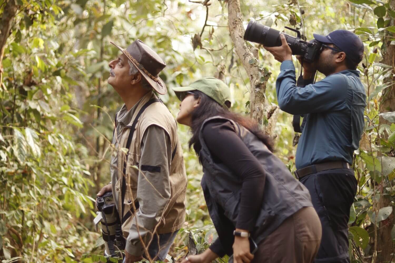Panbari Reserve Forest Reopens in Kaziranga