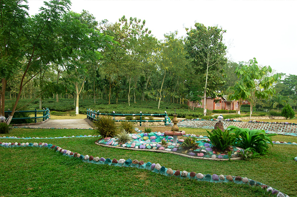 Dhanshree Resort
