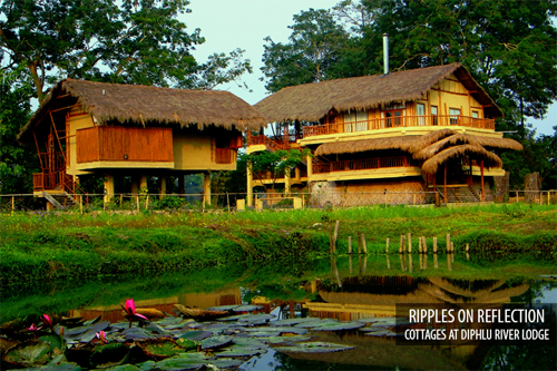 Diphlu River Lodge