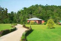 Kaziranga Resort
