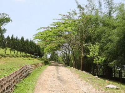 Landmark Woods, Kaziranga