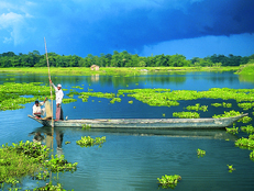 majuli