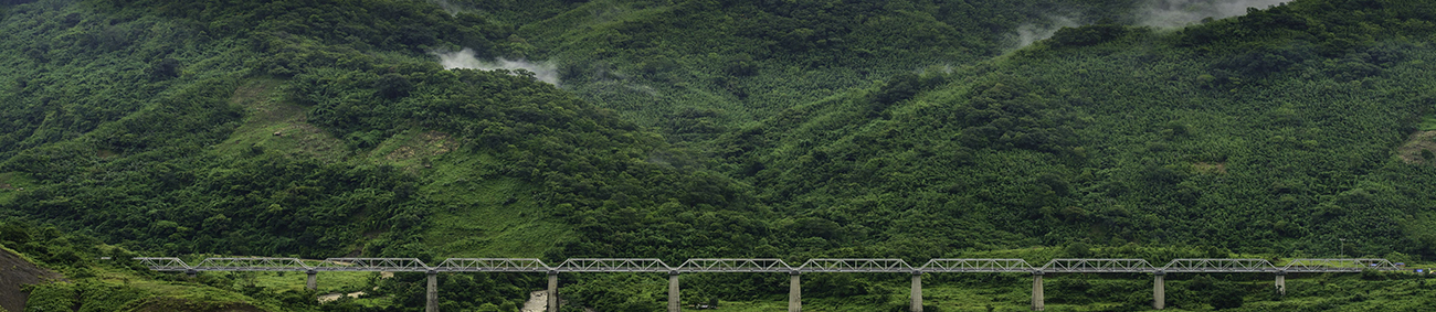 kaziranga-national-park