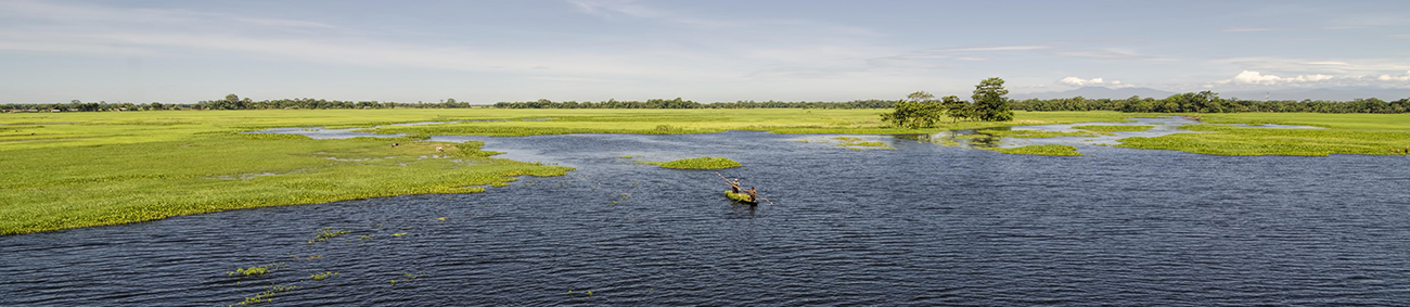 kaziranga-national-park